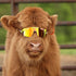 Pit Viper The Originals Sunglasses - The 1993 Polarized (Double Wide)