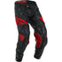 Fly Racing 2020 Evolution Pants - Red/Black