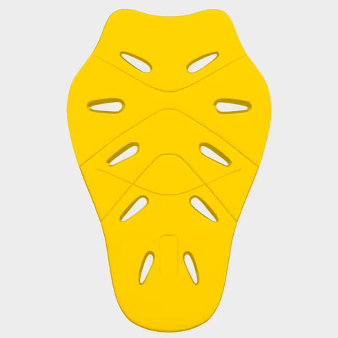 LS2 2023 851 Back Protector