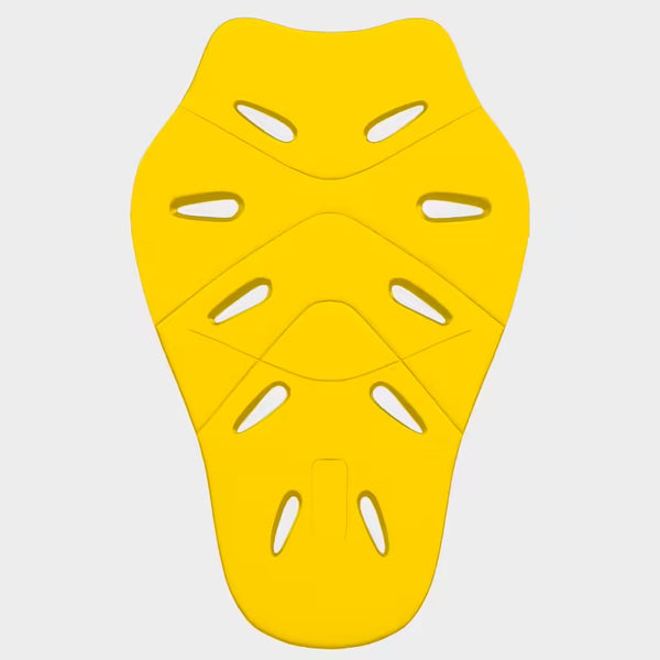 LS2 2023 851 Back Protector