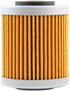 Champ Oil Filter - COF551