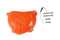 UFO Clutch Cover KTM 250/350 SXF(16/21)EXC(14/21) Orange