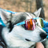 Pit Viper The Originals Sunglasses - The Gobby Polarized