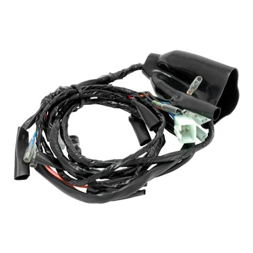 Dirt Freak Main Harness