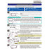 DRC Meter Screen Protection Film (PET) CRF250L